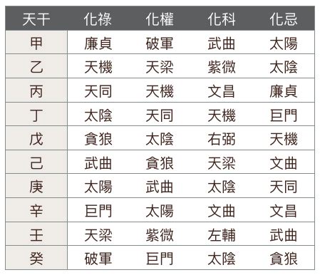 飛宮查詢|自化，人生的漏洞？ 